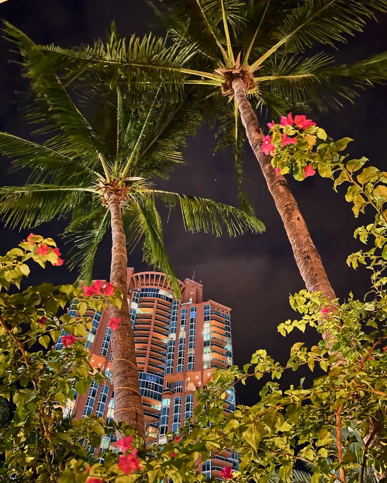 Two palm trees lit from below against a night sky, framed by bougainvillea, with a lit residential tower behind them.