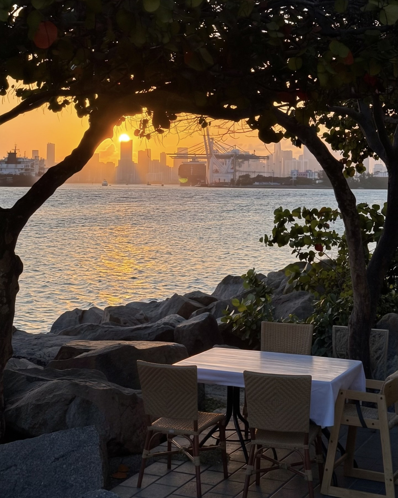 An empty table with a white cloth and wicker chairs on the rocks under a sea grape tree, with the sun setting over Government Cut and the downtown skyline behind.